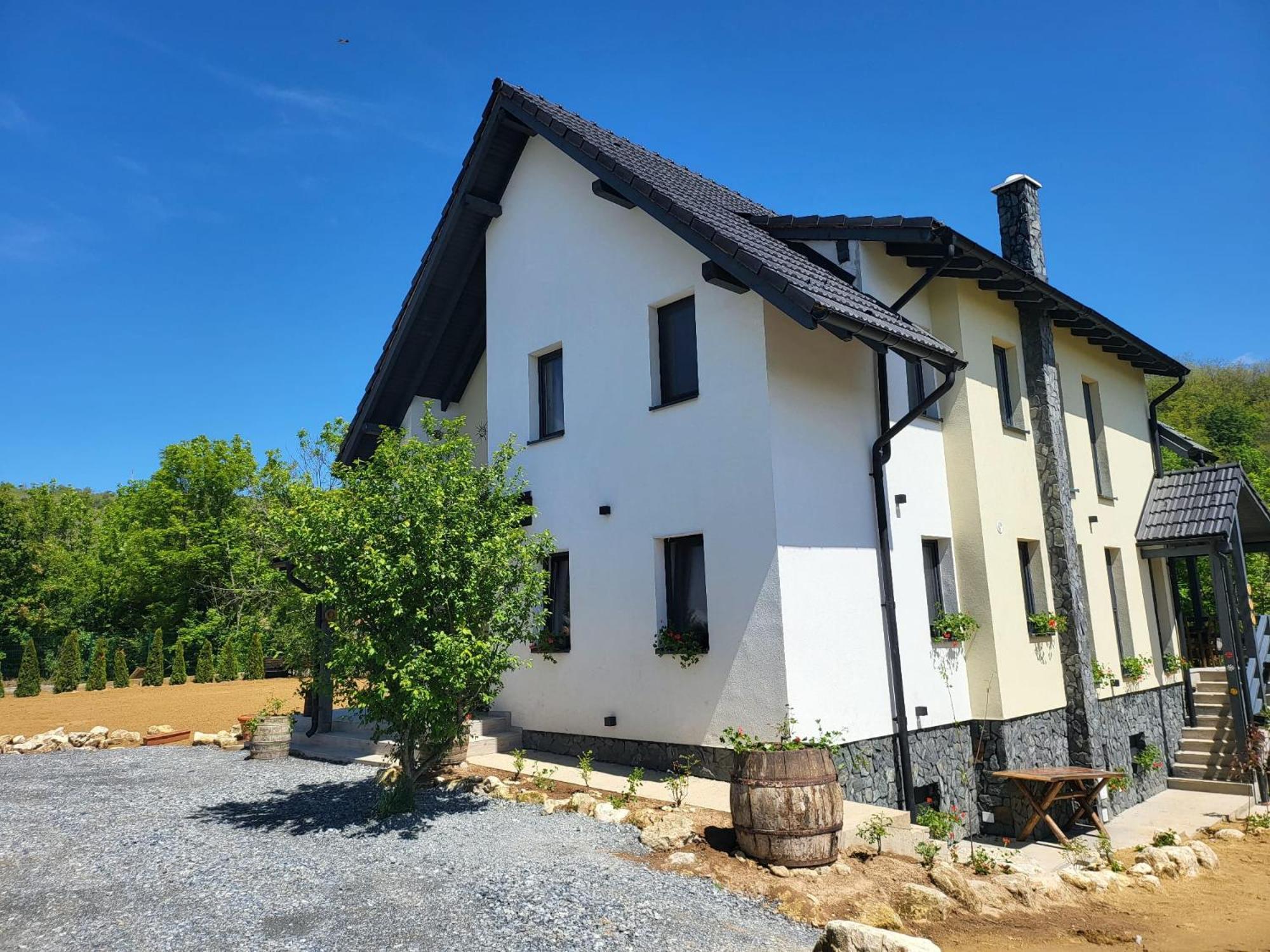 Pensiunea Casa Dacilor Podeni Exterior foto